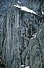 13975: Wall of Ruth Glacier, Denali National Park, Alaska 13975: Wall of Ruth Glacier, Denali National Park, Alaska