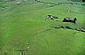 14147: California Pasture, San Luis Obispo County, California 14147: California Pasture, San Luis Obispo County, California