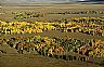 14148: Autumn, Aquarius Plateau, Wayne County, Utah 14148: Autumn, Aquarius Plateau, Wayne County, Utah