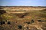 14160: Salt Wash Airstrip, Grand County, Utah 14160: Salt Wash Airstrip, Grand County, Utah