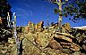 14162: Rocks, Trees & Sky, Custer County, Colorado 14162: Rocks, Trees & Sky, Custer County, Colorado