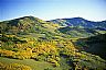 14428: Aspen Panorama, Gunnison County, Colorado 14428: Aspen Panorama, Gunnison County, Colorado