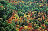 14439: Maine Woods, Penobscot County, Maine 14439: Maine Woods, Penobscot County, Maine