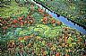 14443: Autumn Stream, Aroostook County, Maine 14443: Autumn Stream, Aroostook County, Maine