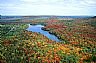 14444: Autumn Lake, Aroostook County, Maine 14444: Autumn Lake, Aroostook County, Maine
