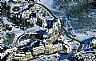 14496: Beaver Creek Condos, Eagle County, Colorado 14496: Beaver Creek Condos, Eagle County, Colorado