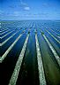 15100: Irrigarion Canals?, Miami-Dade County, Florida
