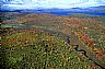 15113: Mount Blue Stream, Franklin County, Maine