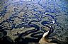 15122: Apalachee Bay Wetlands, Franklin County, Florida