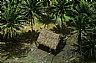 15167: Jungle Hut, Costa Rica, Torteguero Provence