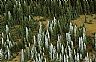 15550: Winters Promise, Archuleta County, Colorado 15550: Winters Promise, Archuleta County, Colorado