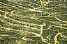 15566: Wind Farm, Kern County, California 15566: Wind Farm, Kern County, California
