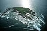 15643: Destruction Island, Jefferson County, Washington 15643: Destruction Island, Jefferson County, Washington