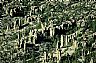 15743: Desert Monoliths, State of Chihuahua 15743: Desert Monoliths, State of Chihuahua