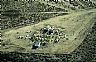15748: Cemetery at San Juanico, Baja California Sur, Pacific 15748: Cemetery at San Juanico, Baja California Sur, Pacific