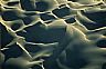 15750: Shore Dune, Baja California Sur, Pacific 15750: Shore Dune, Baja California Sur, Pacific