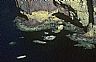 15766: Cliffs at Guaymas, State of Chihuahua 15766: Cliffs at Guaymas, State of Chihuahua