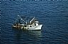 15767: Shrimp Boat Liberacion, State of Chihuahua 15767: Shrimp Boat Liberacion, State of Chihuahua