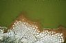 15776: Mud Cracks, Baja California Sur, Sea of Cortez 15776: Mud Cracks, Baja California Sur, Sea of Cortez