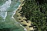 15784: Palm Shore, Costa Rica, Limon Provence 15784: Palm Shore, Costa Rica, Limon Provence