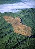15790: Clear Cut, Clatsop County, Oregon 15790: Clear Cut, Clatsop County, Oregon