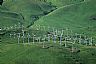 15793: Wind Farm, Contra Costa County, California 15793: Wind Farm, Contra Costa County, California