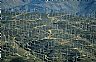 15794: Wind Farm, Kern County, California 15794: Wind Farm, Kern County, California