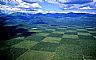 15795: Tree Farm, Bonner County, Idaho 15795: Tree Farm, Bonner County, Idaho