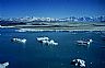 15815: Bering Glacier Pool, Gulf of Alaska Coast, Alaska 15815: Bering Glacier Pool, Gulf of Alaska Coast, Alaska