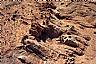 16120: Paria Canyon - Wave Area, Coconino County, Arizona 16120: Paria Canyon - Wave Area, Coconino County, Arizona