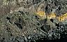 16226: Step Faulting, State of Sonora 16226: Step Faulting, State of Sonora
