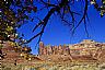 16481: Spring Canyon Hike, Wayne County, Utah 16481: Spring Canyon Hike, Wayne County, Utah
