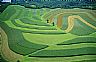 17134: Contoured Corn, Southern Wisconsin 17134: Contoured Corn, Southern Wisconsin