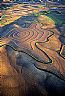 17141: Contour Farming, Harrison County, Iowa 17141: Contour Farming, Harrison County, Iowa