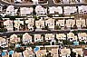 17146: Phoenix Suburb, Maricopa County, Arizona 17146: Phoenix Suburb, Maricopa County, Arizona
