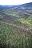 17193: Wildfire Burn Recovery, Tanana Valley State Forest, Alaska 17193: Wildfire Burn Recovery, Tanana Valley State Forest, Alaska