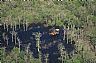 17440: Oil Pumping, Concordia Parish, Louisiana 17440: Oil Pumping, Concordia Parish, Louisiana