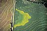 17476: Irrigated Fields, Parkin County, Arkansas 17476: Irrigated Fields, Parkin County, Arkansas