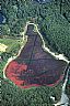 17477: Cranberry Bog, York County, Maine 17477: Cranberry Bog, York County, Maine