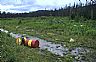 17787: Abandoned Oil Drums, Skeena River, British Columbia 17787: Abandoned Oil Drums, Skeena River, British Columbia