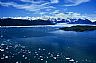 18031: Columbia Bay and Glacier, Gulf of Alaska Coast 18031: Columbia Bay and Glacier, Gulf of Alaska Coast