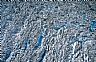 18053: Columbia Glacier up Close, Chugach Mountains, Alaska 18053: Columbia Glacier up Close, Chugach Mountains, Alaska