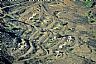18098: Company Town, Yavapai County, Arizona 18098: Company Town, Yavapai County, Arizona