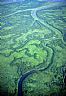 18117: Copper River Delta, Gulf of Alaska Coast, Alaska 18117: Copper River Delta, Gulf of Alaska Coast, Alaska