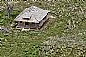 Abandoned Prairie Homestead , Elbert County, Colorado CO