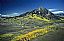 182: Autumn, Crested Butte, Colorado, Gunnison County, Colorado