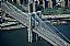 241: Brooklyn Bridge, Midtown Manhattan, New York City