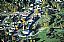 263: Stowe, Vermont, Stowe, Vermont